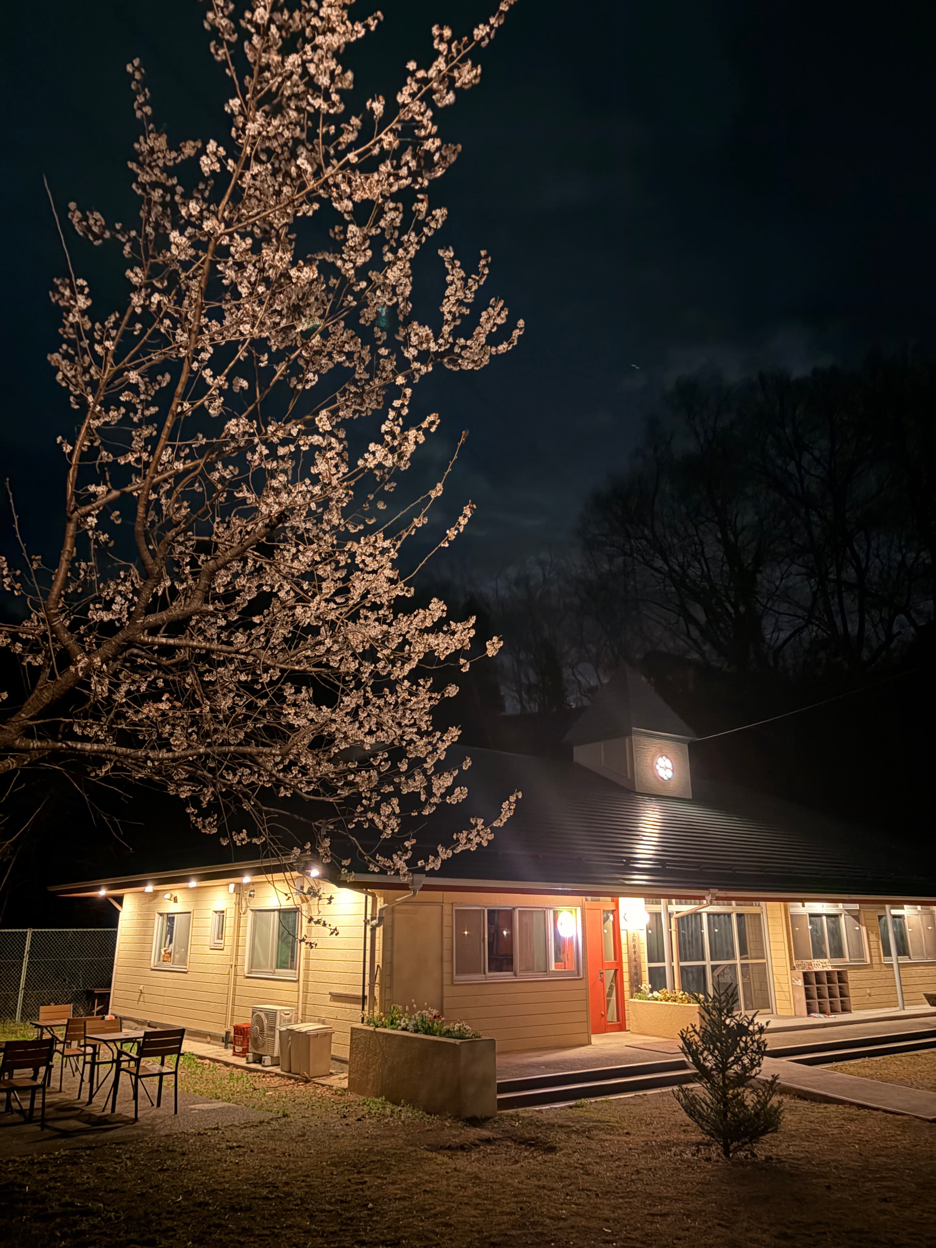 夜桜に照らされるシネヤマの建物(旧・沢松幼稚園)